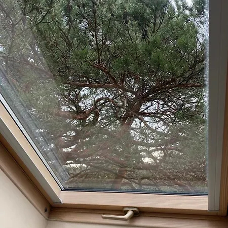 Gasthuis Claudia Palanga