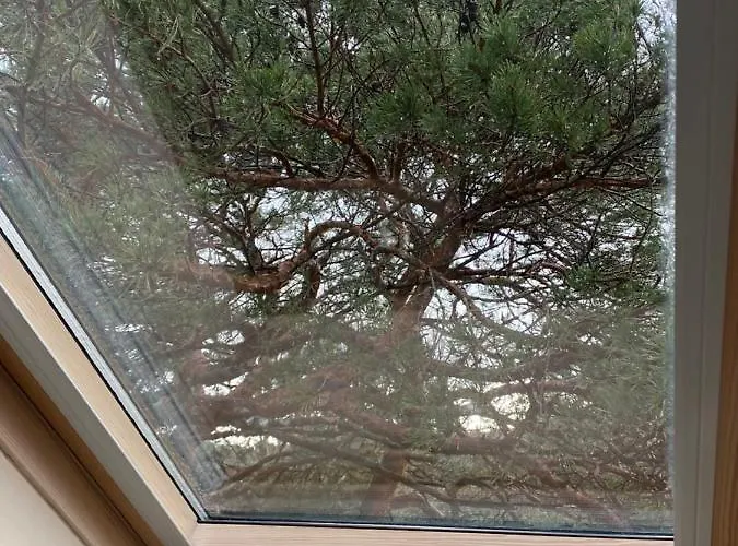 בית הארחה Claudia פלאנגה