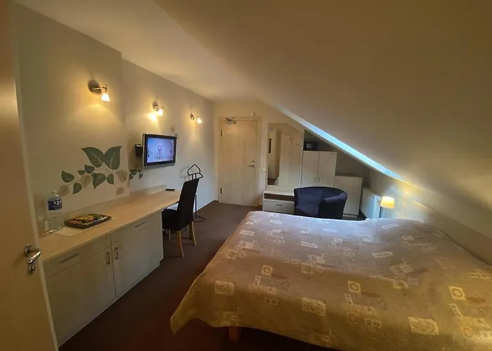 בית הארחה Claudia 3*