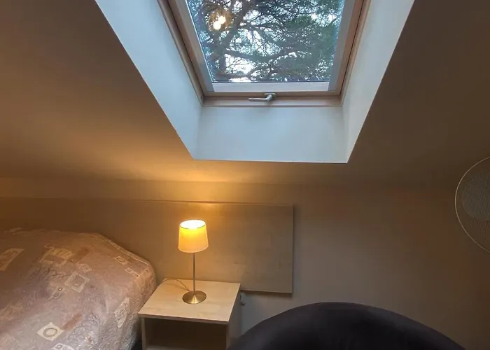 בית הארחה Claudia 3*